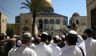 مستوطنون يستأنفون جولاتهم الإستفزازية في "الأقصى"